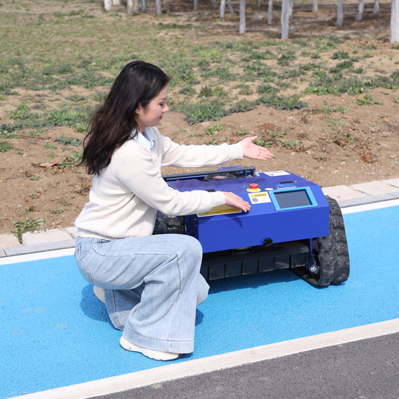 AWY-550 RC Lawn Mower with Digital LCD Display Screen gallery image 3