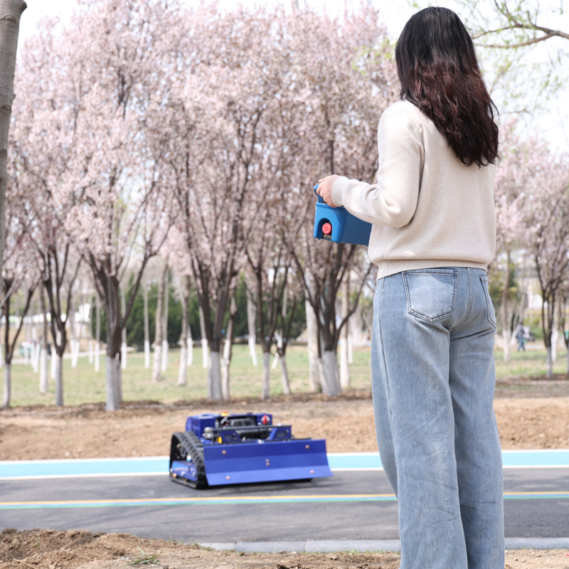AWY-550 RC Lawn Mower with Digital LCD Display Screen gallery image 2