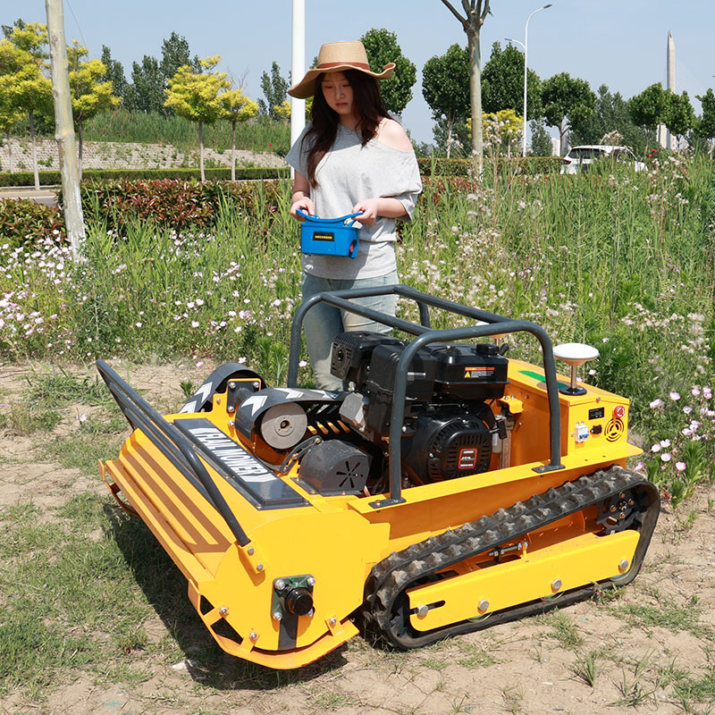 AWY-1000S Remote Control Flail Mower Slope Brush Cutter CE Certified gallery image 1