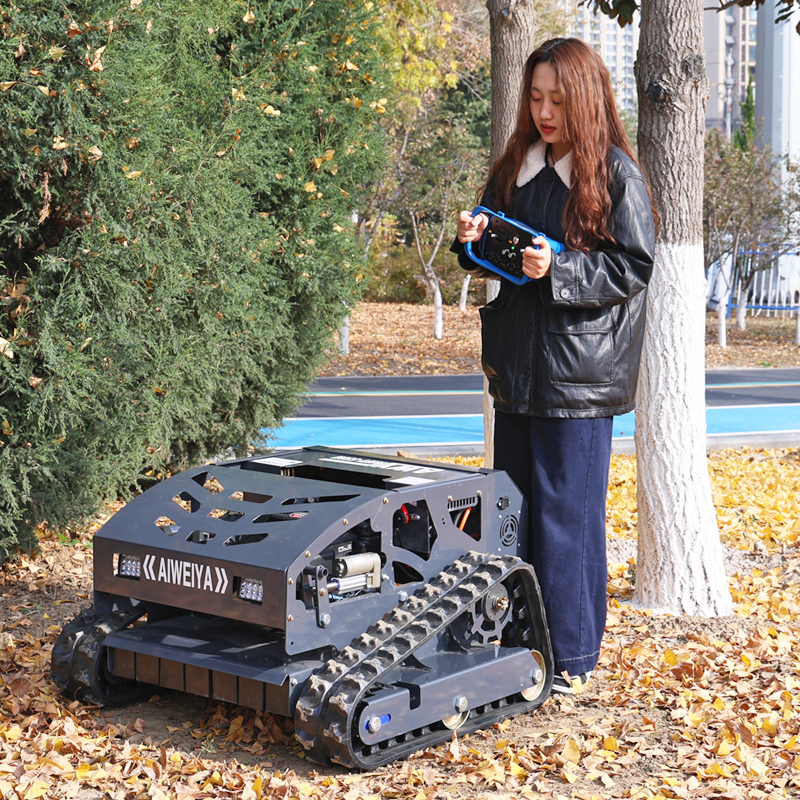 AWY-550H RC Lawn Mower gallery image 2