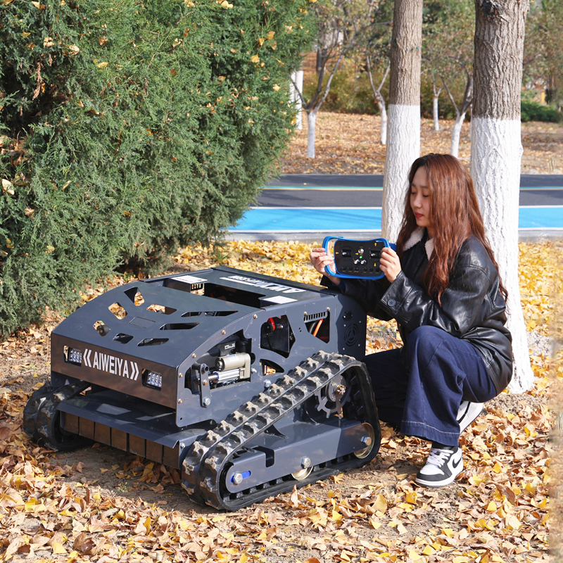 AWY-550H RC Lawn Mower gallery image 3