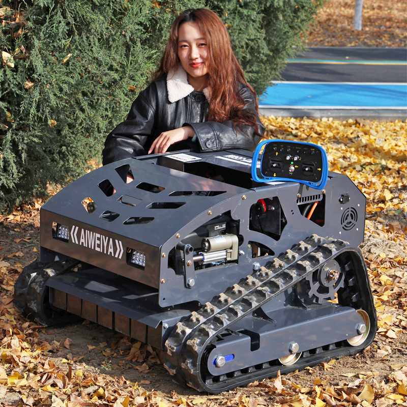 AWY-550H RC Lawn Mower gallery image 4