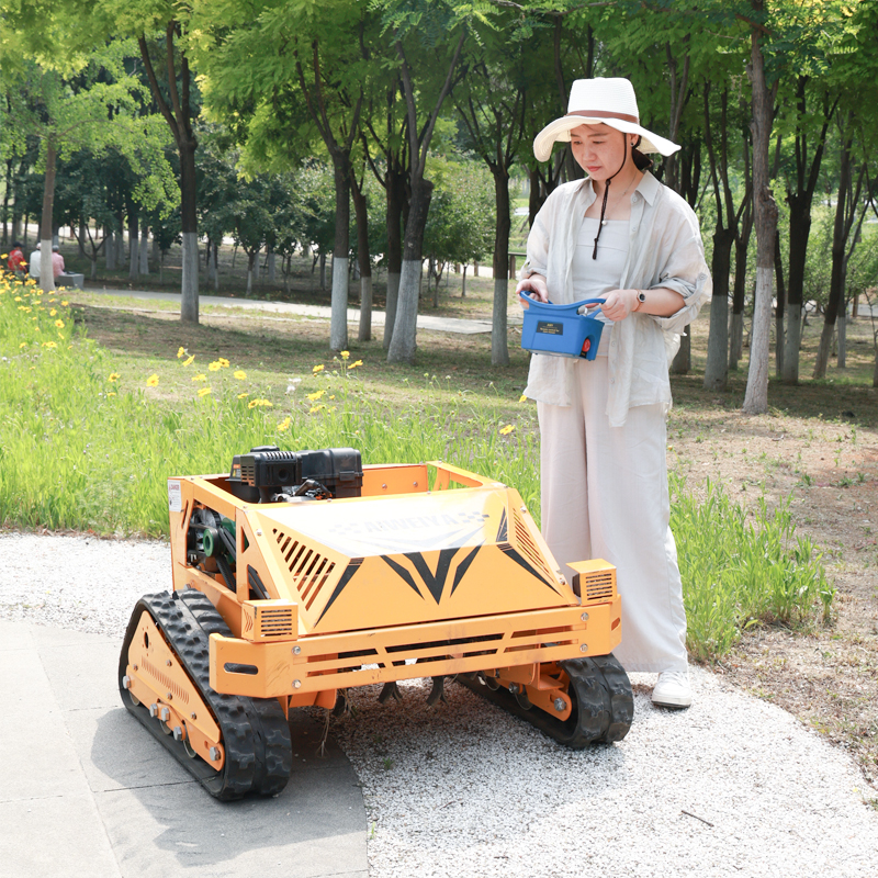 AWY-550S Factory Supply Flail Mower Lawn Cutting Machine gallery image 1