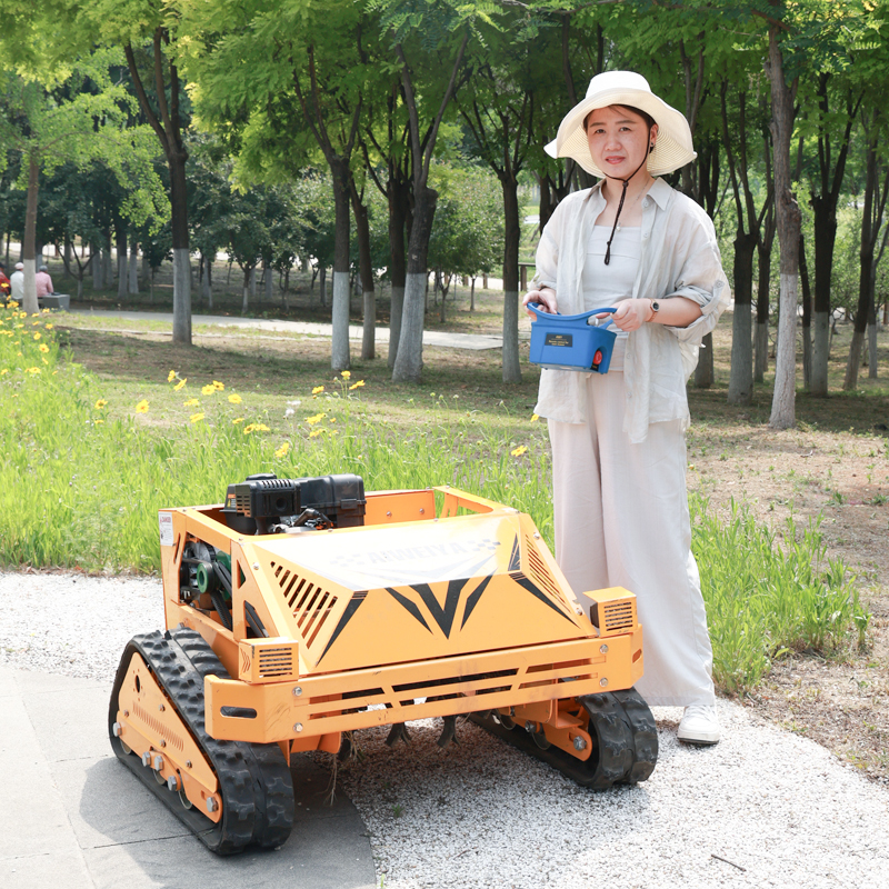 AWY-550S Factory Supply Flail Mower Lawn Cutting Machine gallery image 2