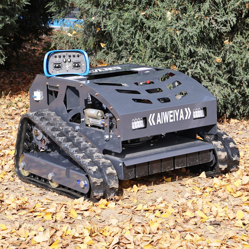 AWY-550H RC Lawn Mower gallery image 1