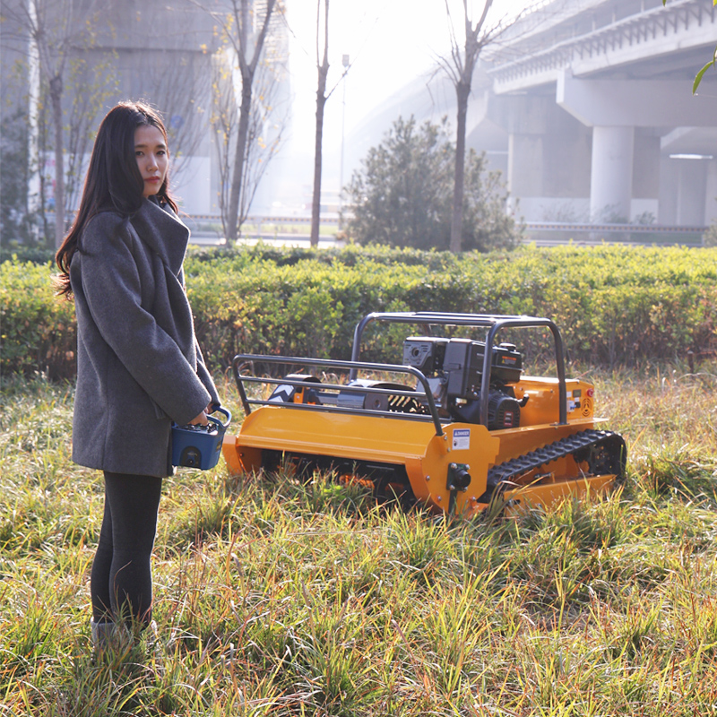 AWY 800S Commercial Remote-Controlled Tracked Flail Mower gallery image 1
