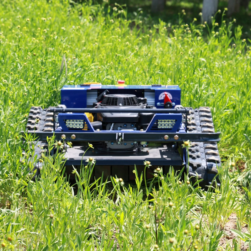 Orchard Row Mowing